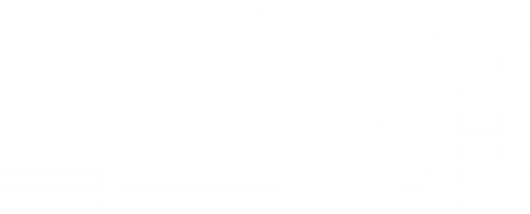 IBM, an AmplifAI partner